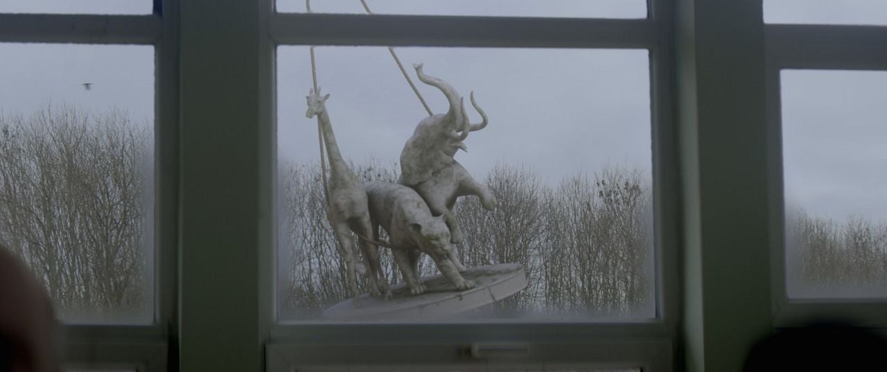 Anadolu Leoparı : Foto