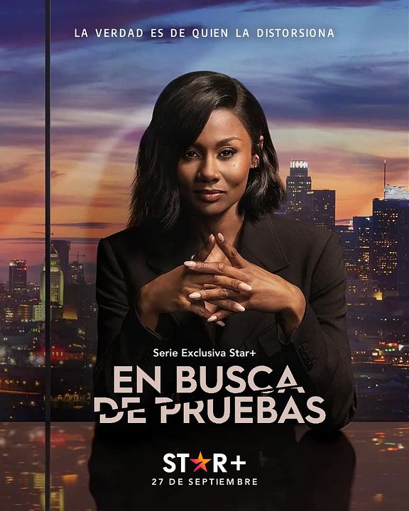 En busca de pruebas : Póster