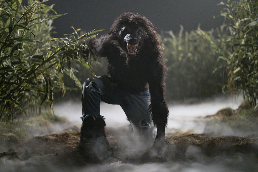 Under Wraps 2 : Foto