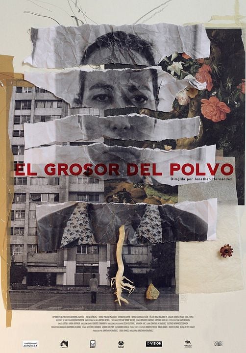 El grosor del polvo : Póster