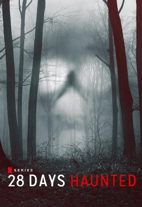 28 días paranormales : Póster