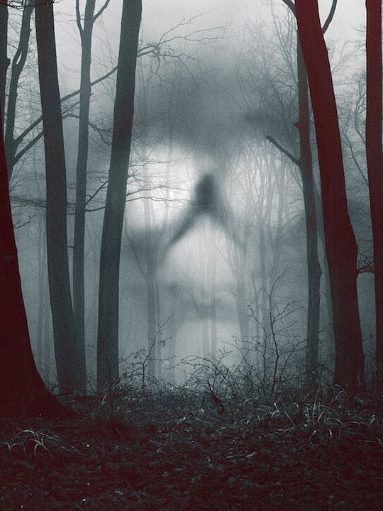 28 días paranormales : Póster