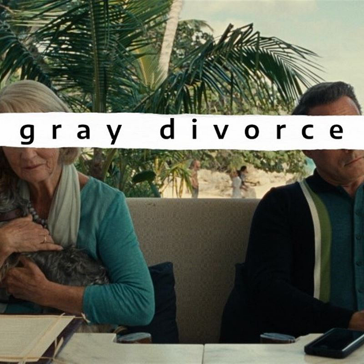 Gray Divorce : Póster