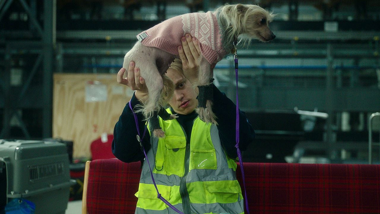 Tormenta de Navidad : Foto