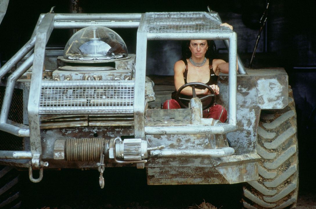 Criaturas de la noche : Foto