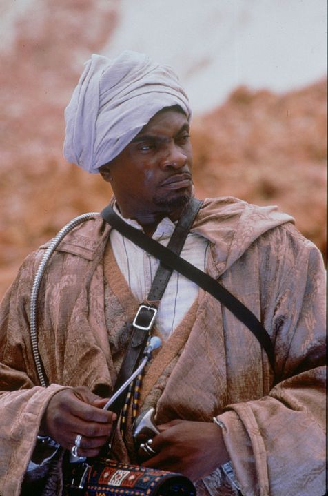 Criaturas de la noche : Foto