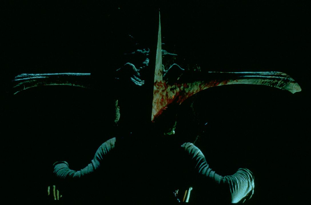 Criaturas de la noche : Foto