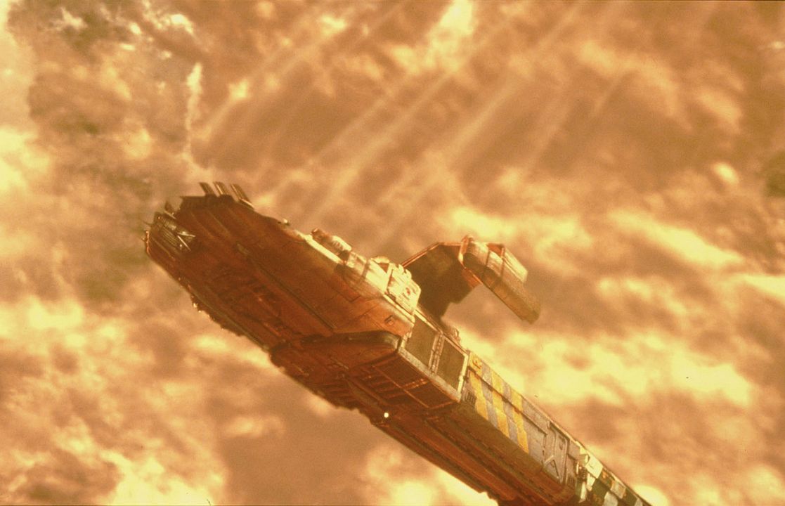 Criaturas de la noche : Foto