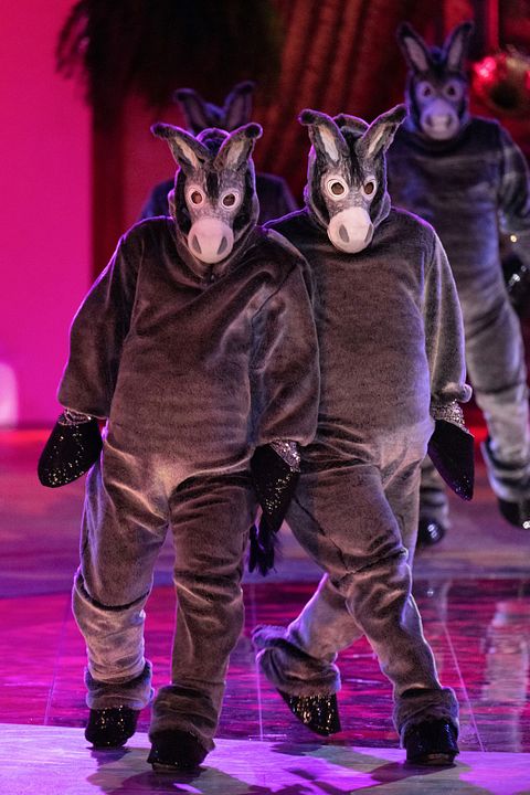 Encanto at the Hollywood Bowl : Foto