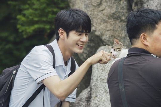 Memorias adolescentes : Foto