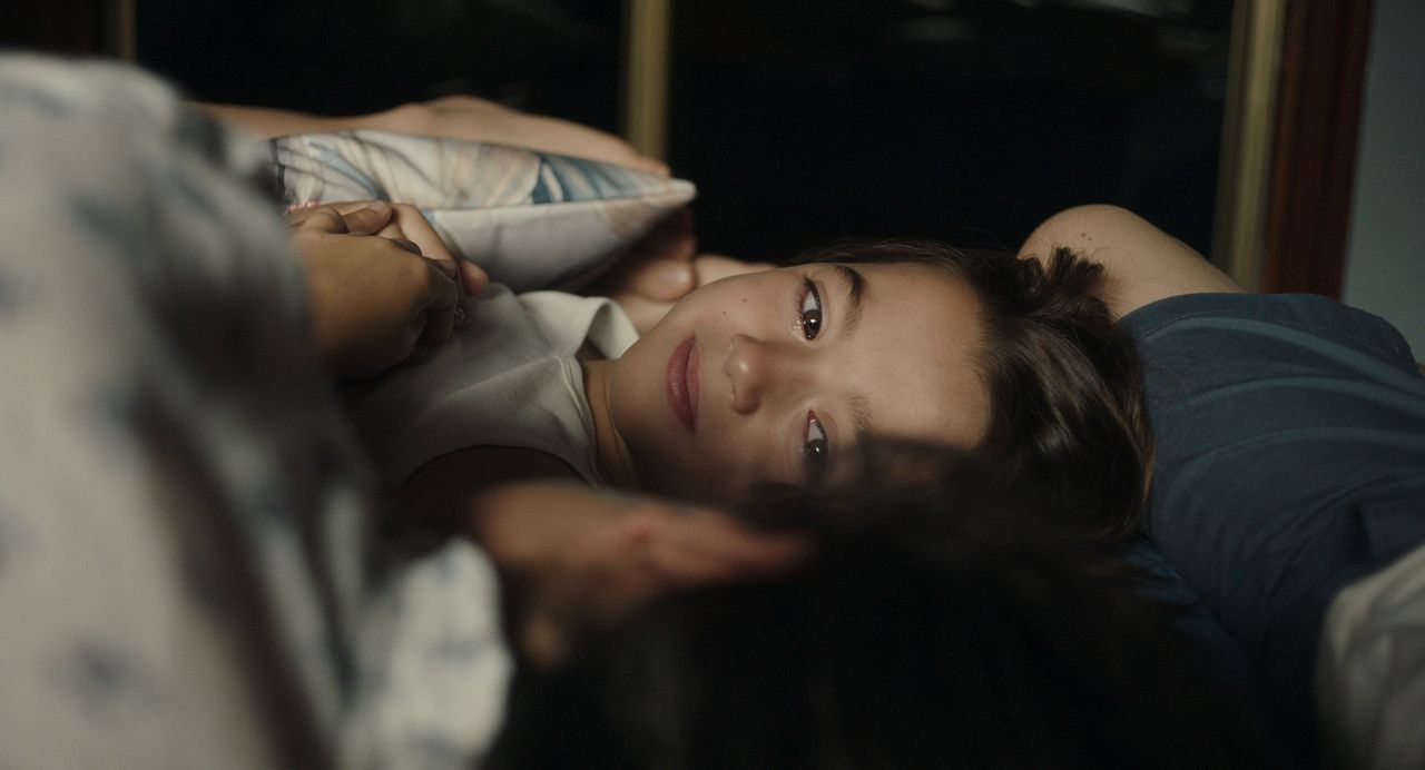 20.000 especies de abejas : Foto