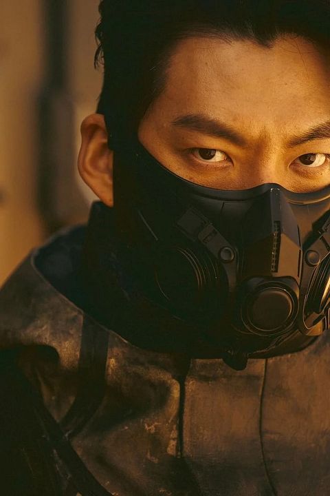 Caballero negro : Foto