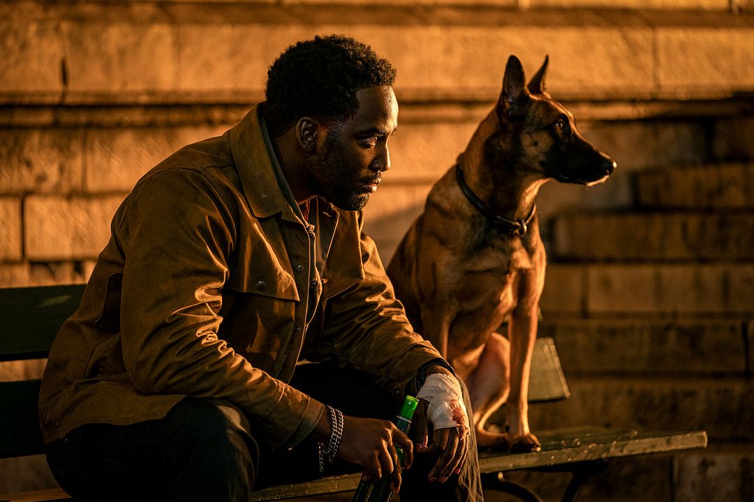 John Wick 4 : Foto Shamier Anderson