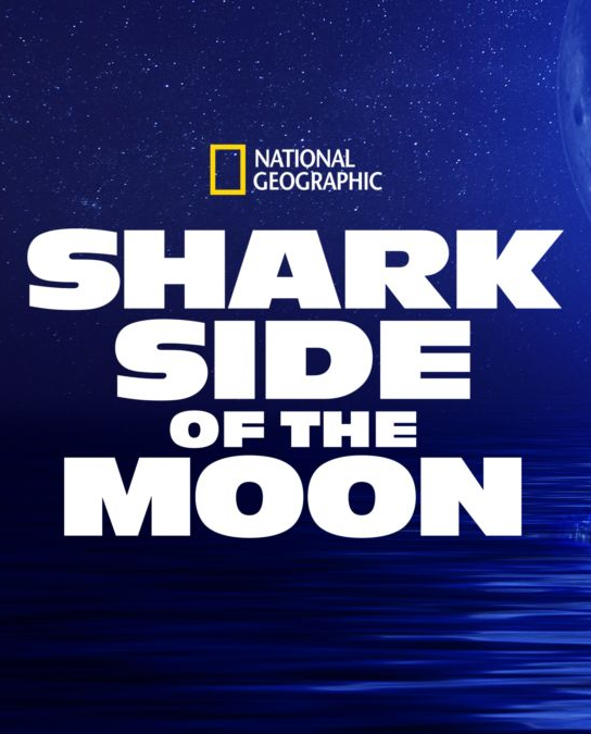 Shark Side of the Moon : Póster