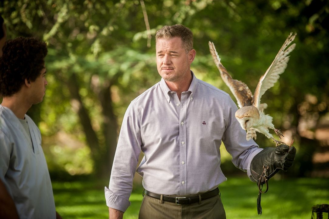 American Carnage : Foto