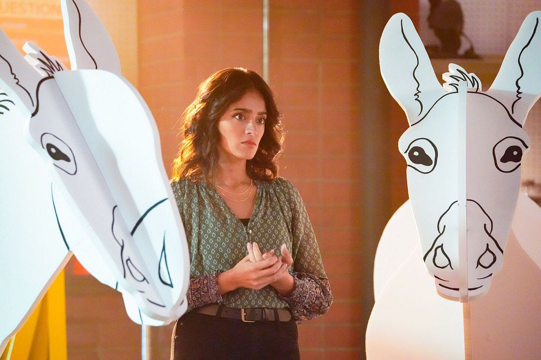 Foto Mandeep Dhillon