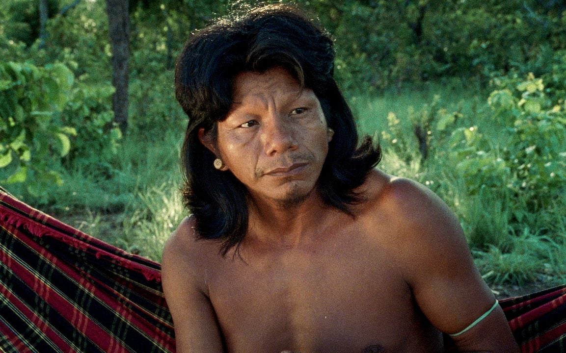 The Buriti Flower : Foto