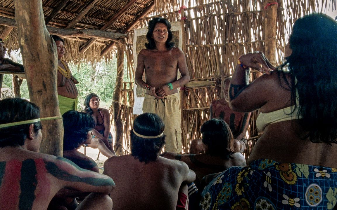 The Buriti Flower : Foto