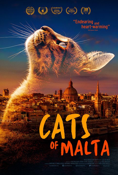 Cats Of Malta : Póster