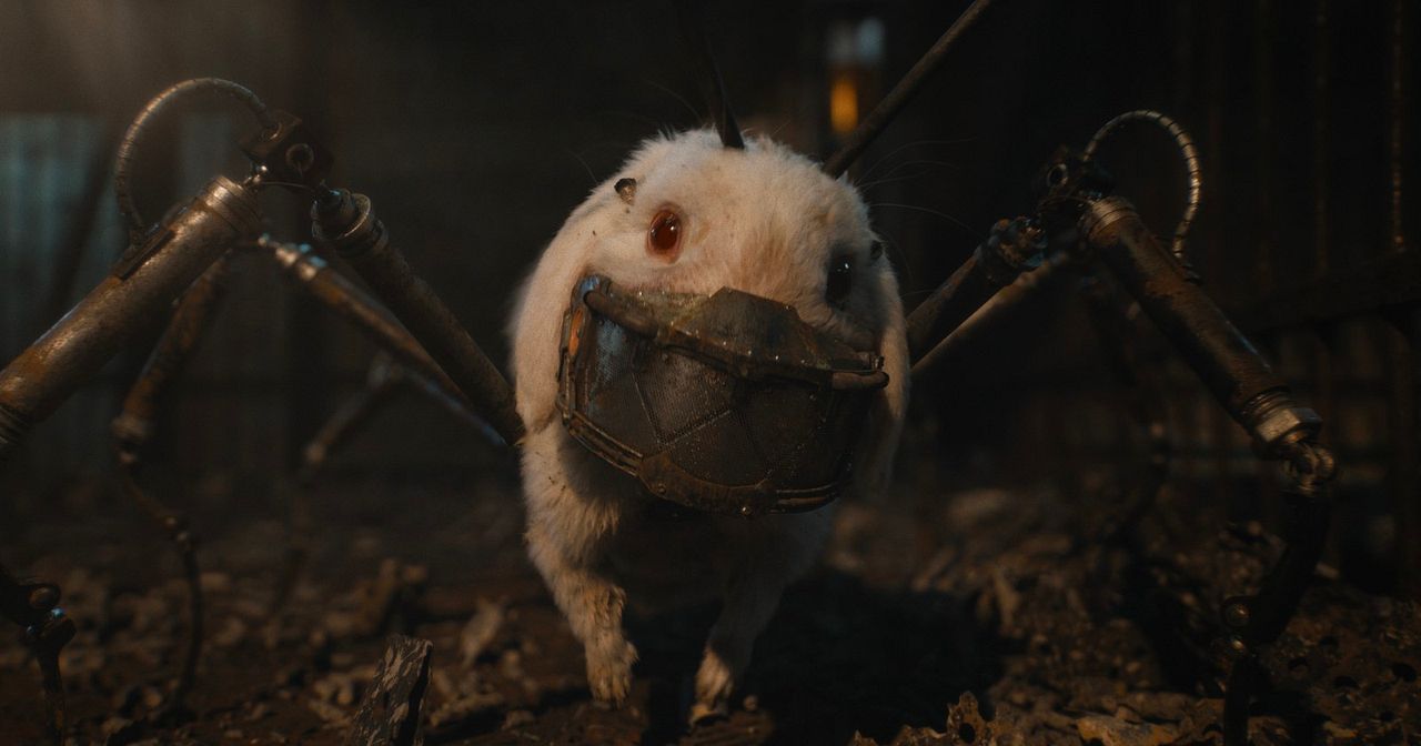 Guardianes de la galaxia Vol. 3 : Foto