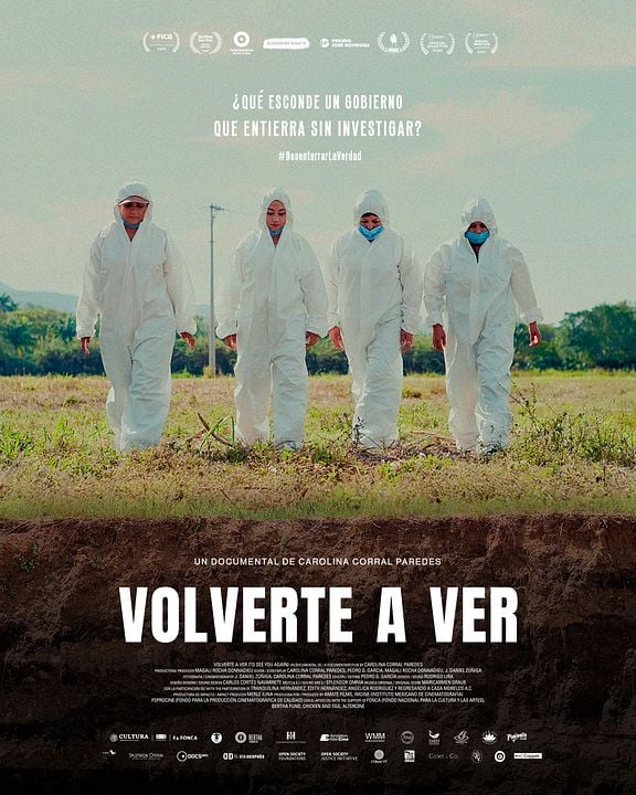 Volverte a ver : Póster
