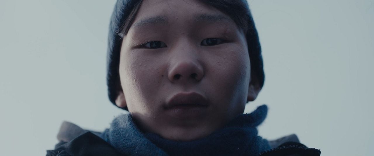 If Only I Could Hibernate : Foto