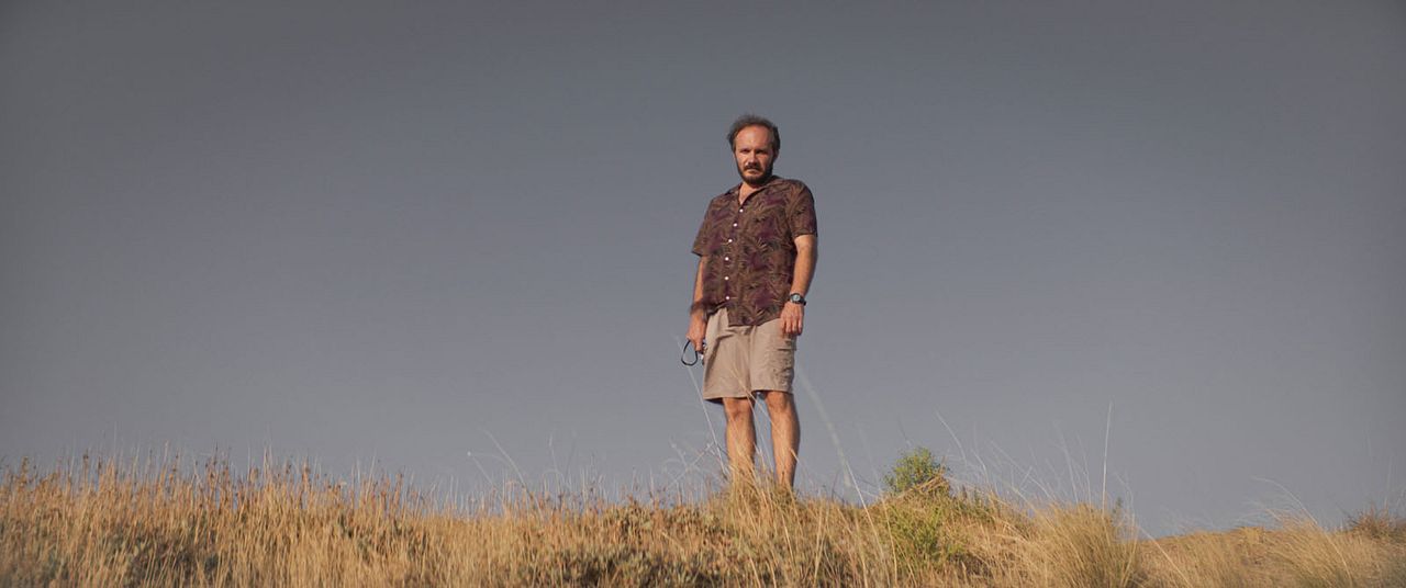 About Dry Grasses : Foto