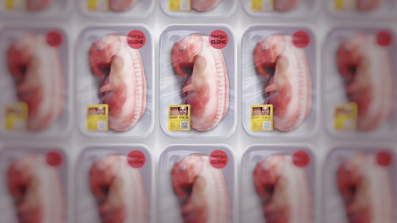 El rey de los clones: La caída del Dr. Hwang Woo-suk : Foto