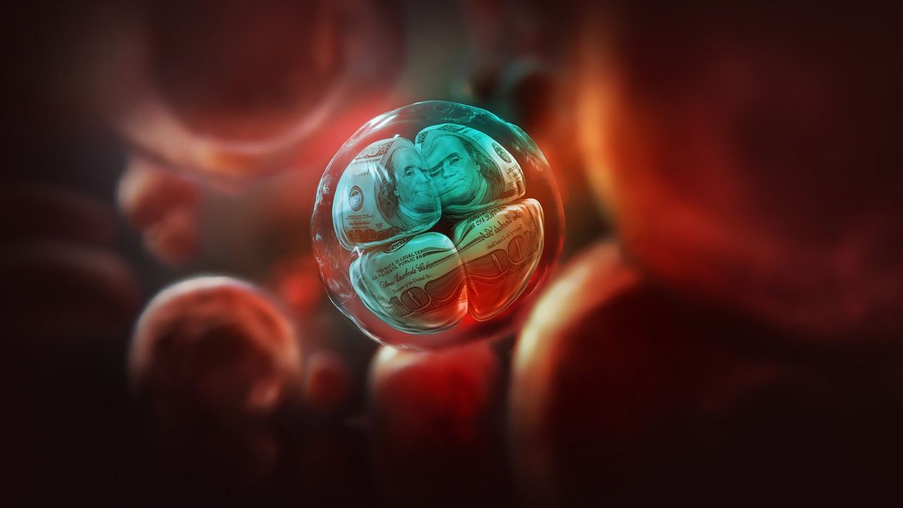 El rey de los clones: La caída del Dr. Hwang Woo-suk : Foto