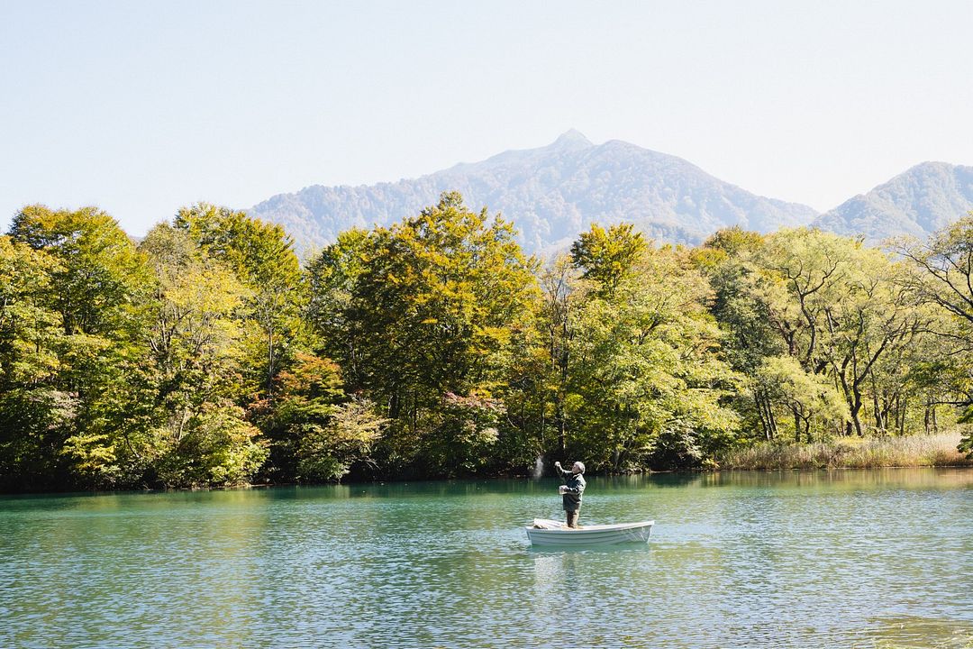 The Zen Diaries : Foto