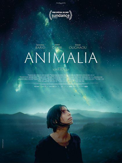 Animalia : Póster