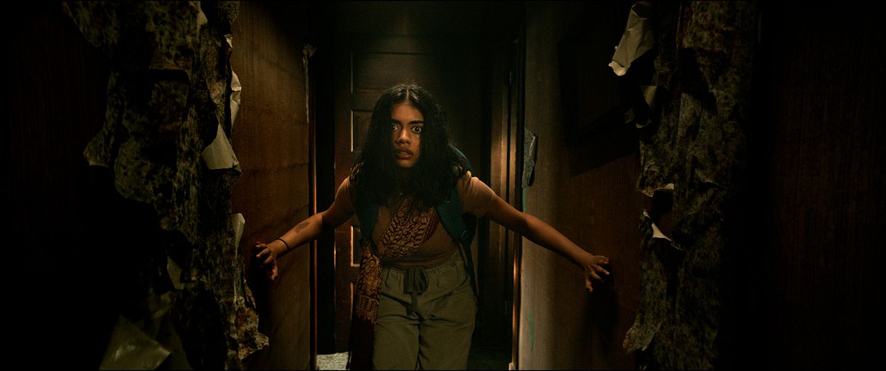 No lo abras : Foto Megan Suri