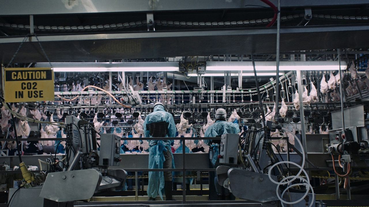 Intoxicación: La cruda verdad sobre nuestra comida : Foto