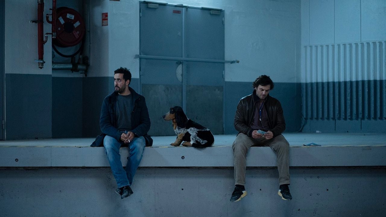 A Difficult Year : Foto