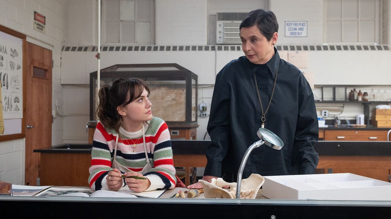 Cat Person : Foto Emilia Jones