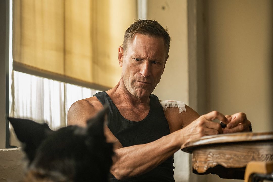 Perro guardián : Foto