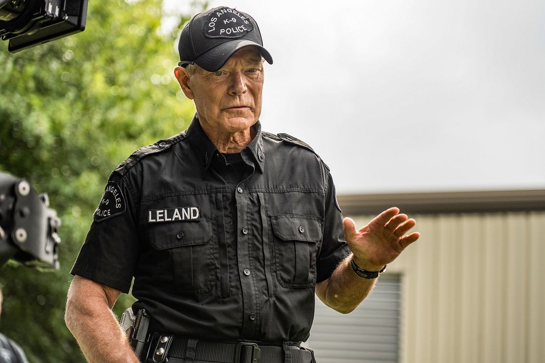 Perro guardián : Foto