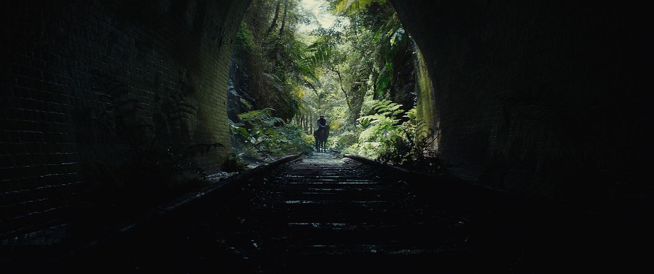 El Planeta de los Simios: Nuevo Reino : Foto