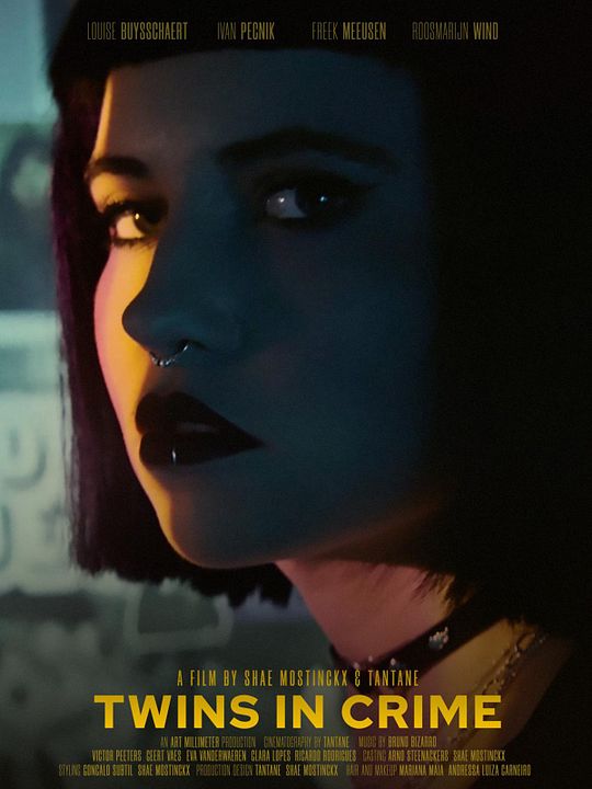 Twins in Crime : Póster