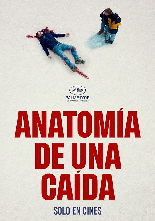 Anatomía de una caída : Póster