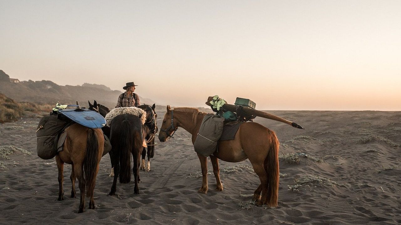 The Road to Patagonia : Foto