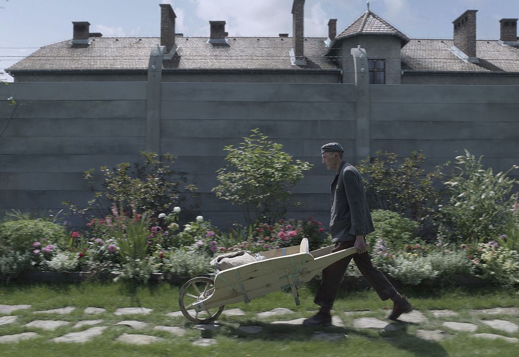 Zona de interés : Foto