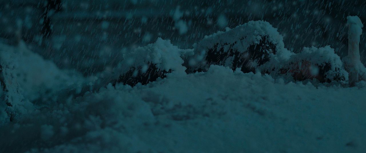 Hatıran Yeter : Foto