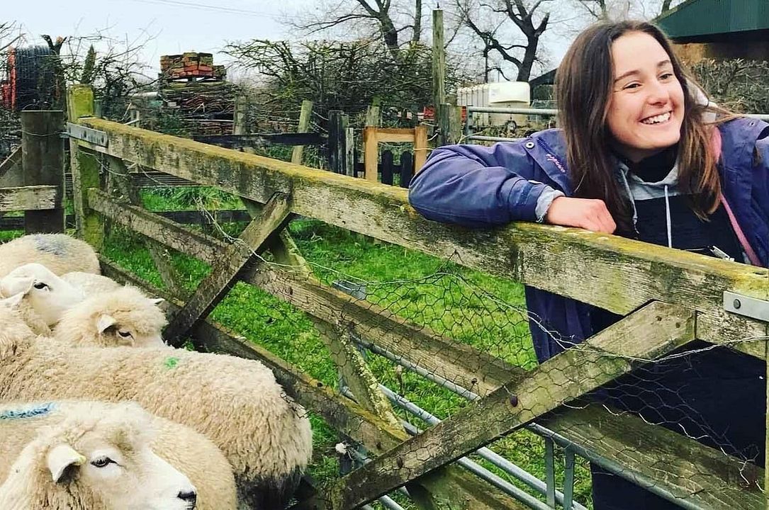 Six Inches of Soil : Foto