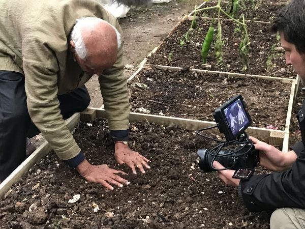 Six Inches of Soil : Foto