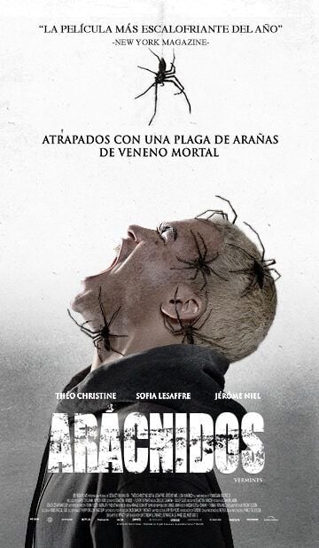 Arácnidos : Póster