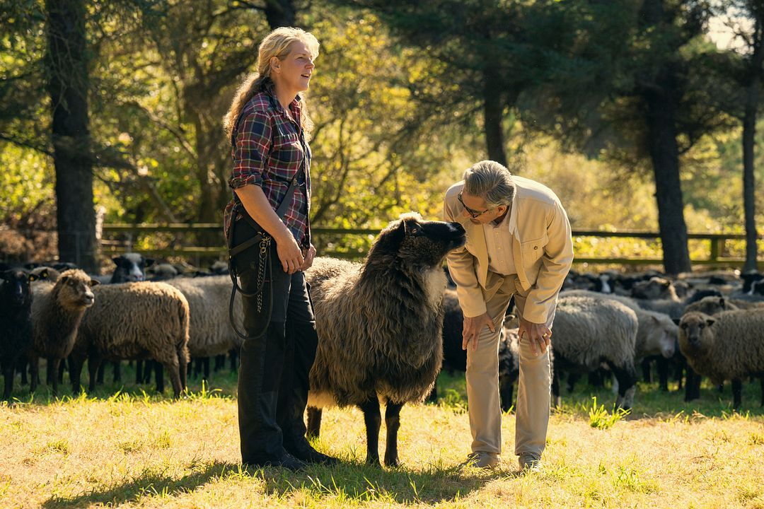 De (mal) viaje : Foto