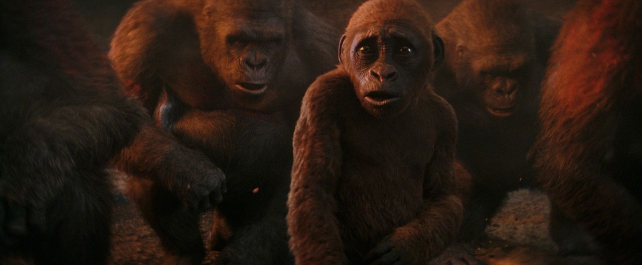 Godzilla y Kong: El nuevo imperio : Foto