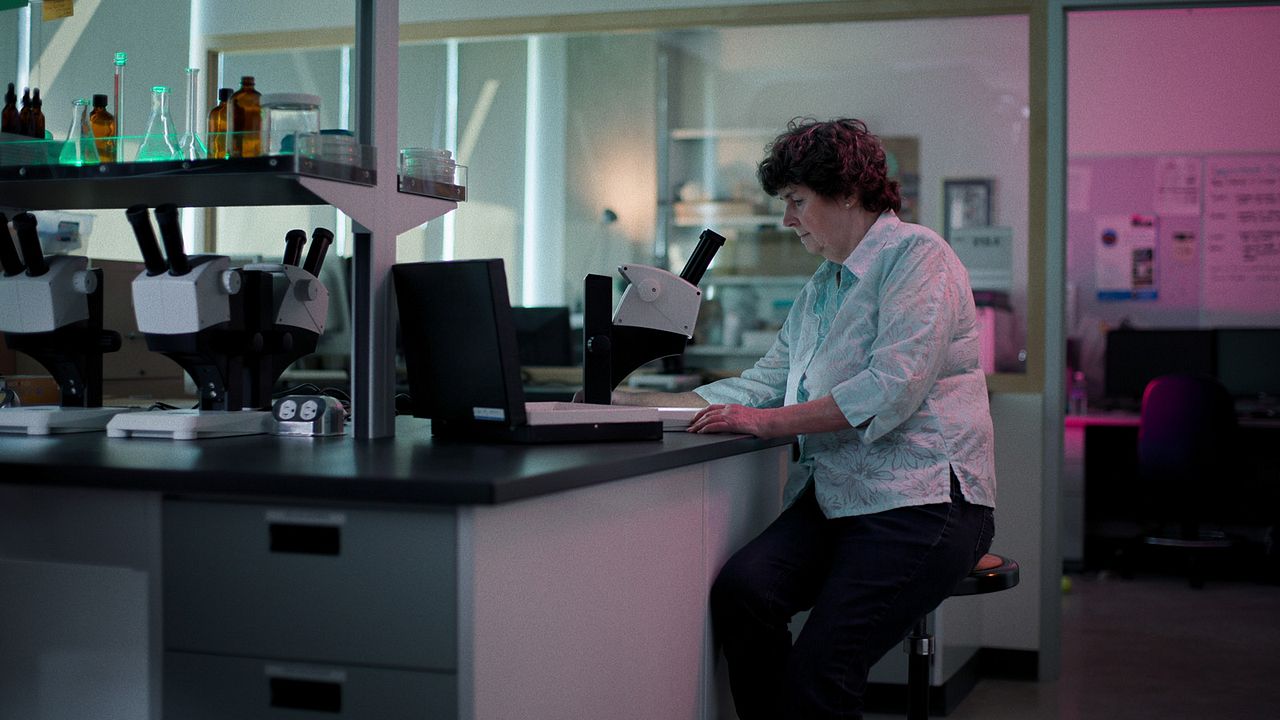 Expedientes de lo inexplicable : Foto