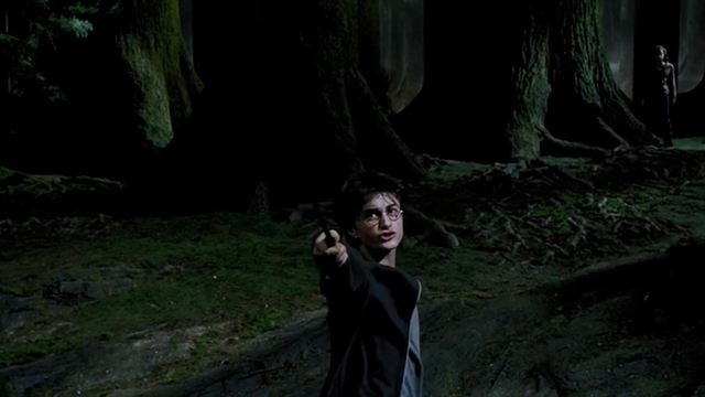 Harry Potter - Figure 1